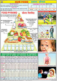 Our Food For Food And Nutrition Chart