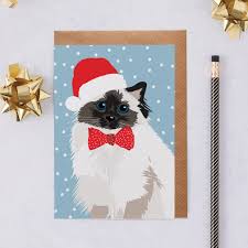 For instance, you can make christmas trees out of. Christmas Card Persian Cat In A Santa Hat And Bow Tie