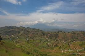 Use them in commercial designs under lifetime, perpetual & worldwide rights. 8r2a5363 Landscape Virunga Np Rwanda