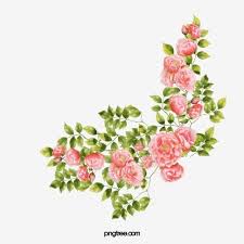 Corner Flower Png And Psd In 2020 Flower Drawing Flower Wallpaper Clip Art Frames Borders