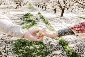 Deborah Chavez and Devin Murphy's Wedding Website