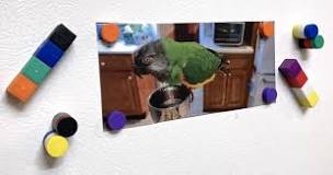 Choosing the Best Fridge Magnets | K&J Magnetics Blog