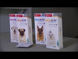 For dogs and puppies 6 months of age and older weighing 4.4 pounds or greater. Dog Owners Blame Popular Flea Medicine For Pets S Deaths Youtube