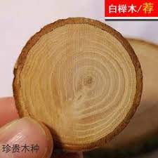 珍惜白榉木年轮片木桩 高档硬木年轮木片模型diy手工材料原木杯垫 serving bowls bowl tableware