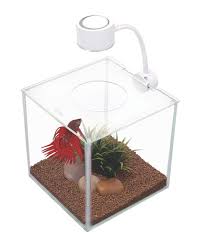 Marina Cubus Glass Betta Kit 3 4 Litres The Aquarium Shop Australia