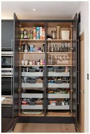 A cabinet pantry takes up a lot less space and offers you lot more centralized storage room. 60 Creative Kitchen Pantry Ideas And Designs 2019 Page 7 Welcome Kitchencabinets60 Kuchen Speisekammerdesign Kuchenrenovierung Kuchenschrank Organisation