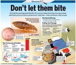 Pin On Cleaning