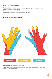 Image result for Elbow Exam