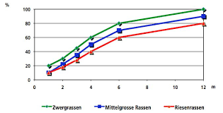Normaler weiße ist das wachstum der brust mit ungefähr 20 jahren beendet. Der Hund Im Wachstum
