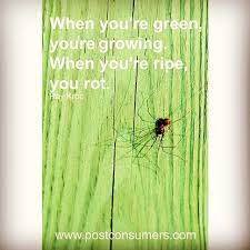 Maybe you would like to learn more about one of these? Our Favorite Green Quotes Growing Vs Rotting Postconsumers