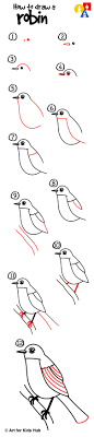 How To Draw A Robin Bird Realistic Art For Kids Hub Art For Kids Hub Bird Drawings Realistic Art