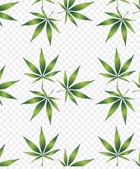 Gambar kartun cannabis, daun pot, daun, fotografi, rumput png. Ganja Daun Ganja Medis Gambar Png