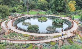 Guilfoyles Volcano Katie Obrien01 Amazing Gardens Urban Garden Melbourne