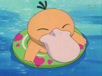 Mistys Enton Pokewiki