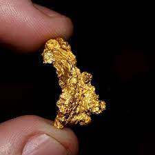 How serious are you about finding gold? 15 Metal Detectors That Will Find Gold Nuggets Raregoldnuggets Com