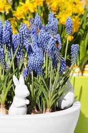 Hier finden sie eine umfangreiche liste der frühlingsblumen für garten, balkon und terrasse. Bunte Fruhlingsblumen Fur Garten Und Balkon Scheurich Blog