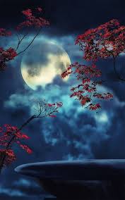 Sandmn1961 A Stranger In A Strange Land Beautiful Moon Nature Photography Nature Pictures