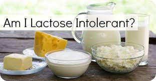 Am I Lactose Intolerant Lactose Intolerance Quiz Healthpositiveinfo