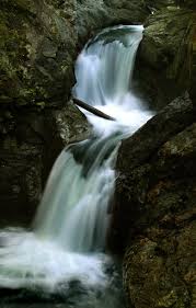 County courthouse 425 shoshone st. 5 Great Rainy Day Hikes Near Seattle The Seattle Times