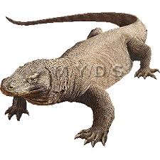 Komodo Dragon Free Clipart Clipart Panda Free Clipart Images Komodo Dragon Komodo Dragon