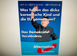 Wahlprogramme der etablierten parteien für die bundestagswahl 2021. Umstrittener Eu Nordkorea Vergleich Afd Verteidigt Schmunzel Wahlplakat