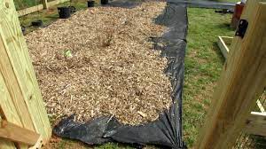 Use our free raised bed vegetable garden plans and worksheets by clicking on this link. Building A Vegetable Garden Using Garden Fabric Cardboard Mulching Paths Building Raised Beds Youtube