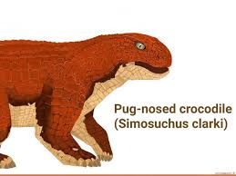 Image result for Simosuchus