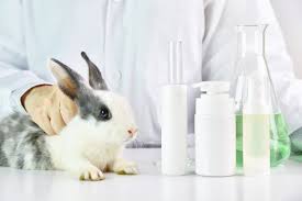 This means that their products are tested on animals. China Will No Longer Require Animal Testing On Imported Cosmetics One Green Planet