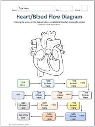 Human Heart Parts And Blood Flow Labeling Worksheets For Google Slides