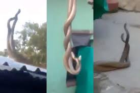 Xxvideo tik tok botol bangladesh. Sfzbvrevfebyrm