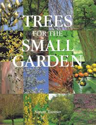 The best varieties of japanese maples for containers are the kinds with weeping branches and finely cut, threadlike leaves. Trees For The Small Garden Toomer Simon 9780881926835 Amazon Com Books