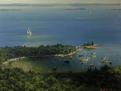 Joseph Mcgurl He has had retrospective solo shows at the cape cod museum of art, the cahoon museum of american art, and the saint botolph club of boston. joseph mcgurl