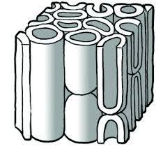 Maybe you would like to learn more about one of these? 4 3 Plant Tissues Plant And Animal Tissues Siyavula