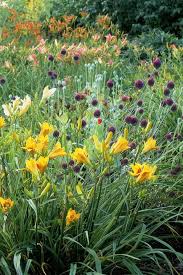 Shop from the world's largest selection and best deals for the garden magazines in english. 15 Best English Garden Ideas How To Design An English Garden