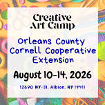 Summer Creative Arts Camp at Orleans County
