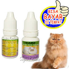 Bukan saja mata yang sakit, dia juga ada kurap. Obat Mata Kucing Tetes Kitten Sakit Merah Berair Tearz Shopee Indonesia