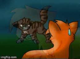 Since firestar was a leader, he had nine lives. Hi There Darkstripe S
