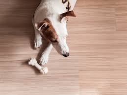 Laminate flooring has a wear layer just like regular and engineered hardwoods, but you can't sand it down despite the top layer, so thicker is usually. Vinyl Vs Laminate Flooring With Pets Builddirect Learning Centerlearning Center