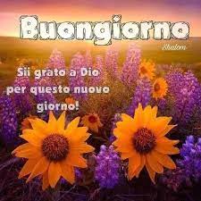 Pin Di Caterina Su Buongiorno Buongiorno Fiori Buongiorno Caffe Buongiorno