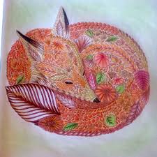 Fox Animal Kingdom Millie Marotta Millie Marotta Marotta Pet Fox Fox art millie marotta animal kingdom millie marotta marotta art animal kingdom coloring books animal art animal kingdom colouring book. fox animal kingdom millie marotta