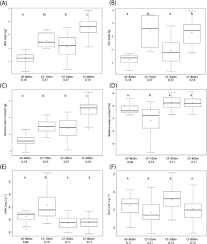 Image result for Sarcophrynium prionogonium