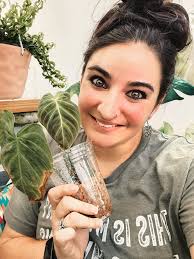 Loving houseplants now!! Always had gardens but enjoying this new hobby!