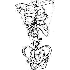 Maybe you would like to learn more about one of these? Skeleton Drawing By Abdalla Skandar Saatchi Art