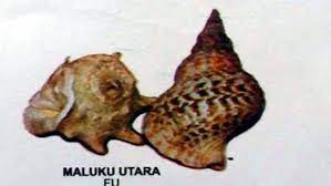 Kesenian yang paling terkenal yaitu tifa yang memiliki cara penggunaannya yaitu dengan dipukul kemudian juga terdapat alat musik toto buang dan gong. Alat Musik Fu Maluku Utara Artikel Musik Indie