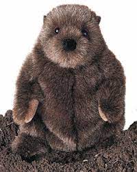 Groundhog Plush Animal Stuffed Animal Groundhog Gifts Groundhog Pictures Plush Stuffed Animals Plush Animals