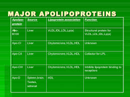 Dr Ravi Lipid Profile