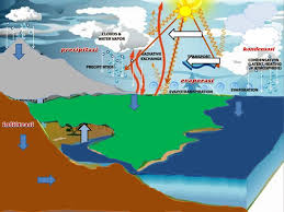 We did not find results for: Presipitasi Evaporasi Infiltrasi Ppt Download