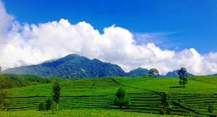 Check spelling or type a new query. Sewa Villa Lembang Bandung Dan Agro Wisata Kebun Teh Sewa Villa Di Lembang Bandung