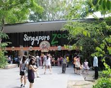 Immagine di Singapore Zoo