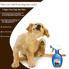 Justanswer.com has been visited by 100k+ users in the past month Facebook